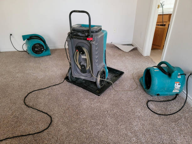Best Water damage restoration process  in Pitola, CA