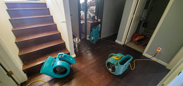 Best 24/7 water damage repair  in Pitola, CA
