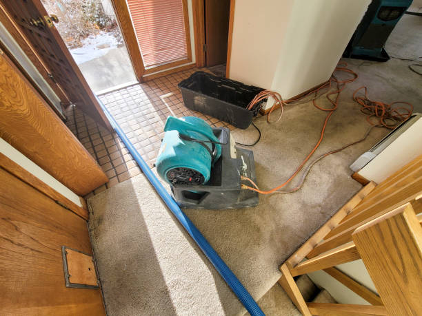 Best Water damage restoration insurance claims  in Pitola, CA