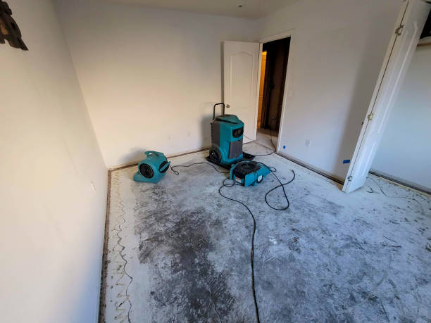Best Local water damage restoration  in Pitola, CA