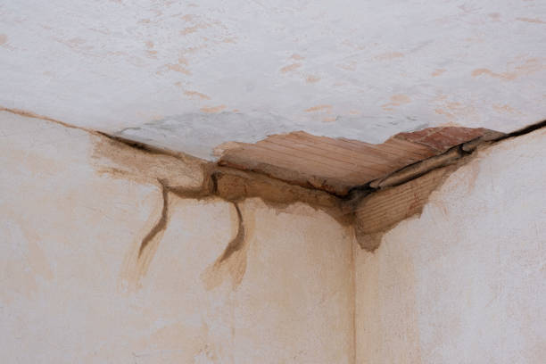 Best Water damage restoration near me  in Pitola, CA
