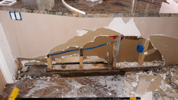 Best Water damage contractors near me  in Pitola, CA