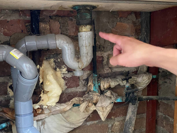 Best Professional water damage repair  in Pitola, CA